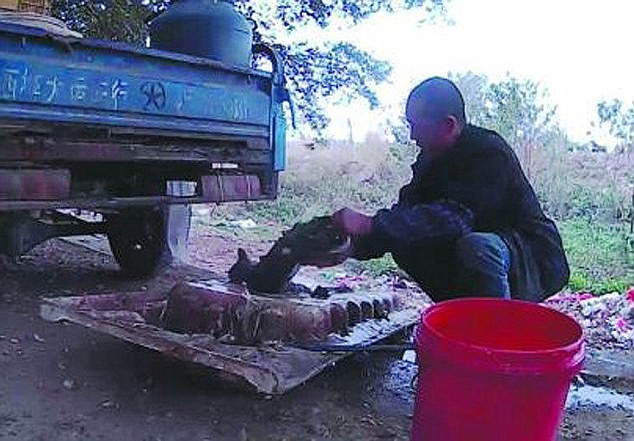 Cảnh dìm chết, lột da chó mèo tại Trung Quốc