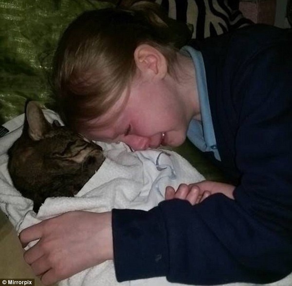 Hình ảnh xúc động: Cô bé khóc ròng bên xác mèo cưng