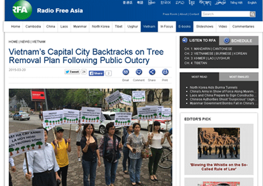 Báo chí nước ngoài viết về kế hoạch chặt 6.700 cây xanh ở Hà Nội