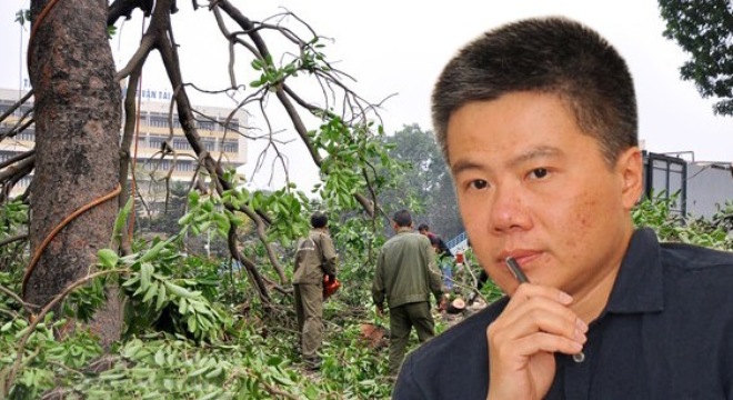 GS Ngô Bảo Châu lên tiếng về việc chặt 6.700 cây xanh ở Hà Nội