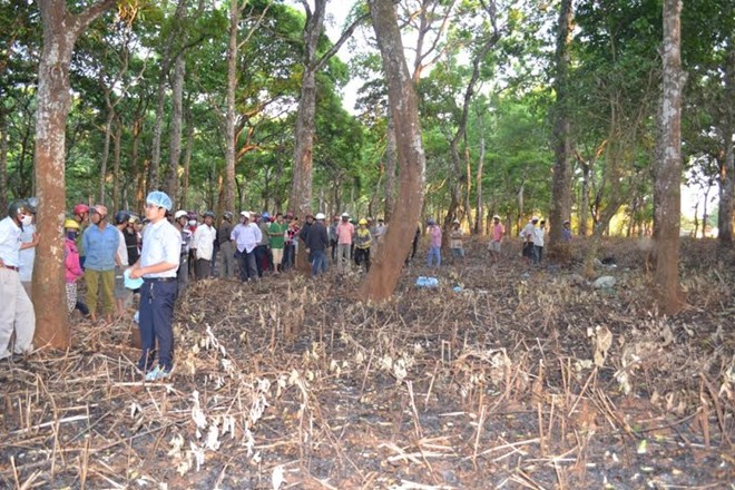 Hàng trăm người dân kéo đến vườn thông xem xác chết cháy
