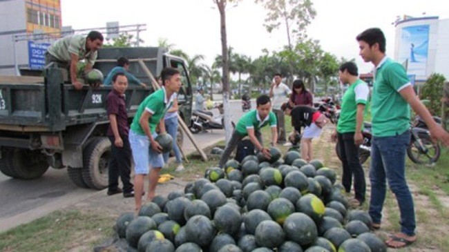 Giới trẻ bán dưa hấu giúp nông dân vùng lụt Quảng Nam
