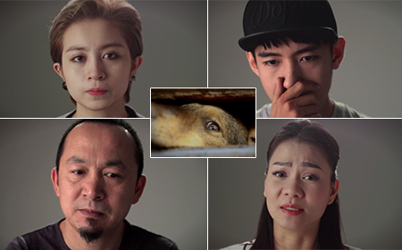 Hàng loạt sao Việt xúc động mạnh vì cảnh giết mổ chó trong clip "Về đi Vàng ơi"