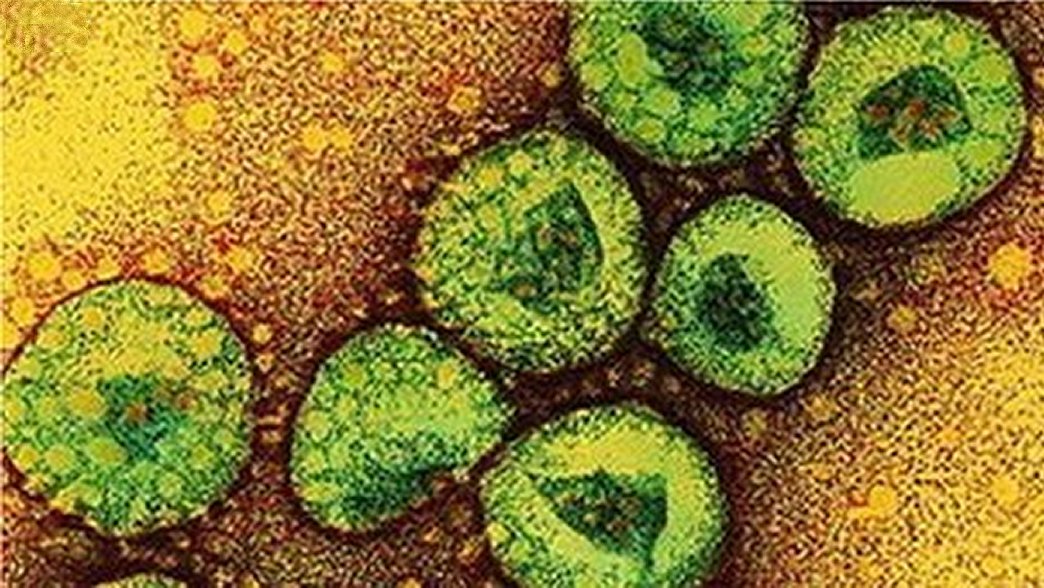 Virus tử thần MERS-CoV nguy hiểm như thế nào?