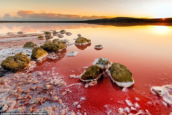 Nín thở trước vẻ đẹp hoang sơ của hồ nước màu hồng như trên sao Hỏa