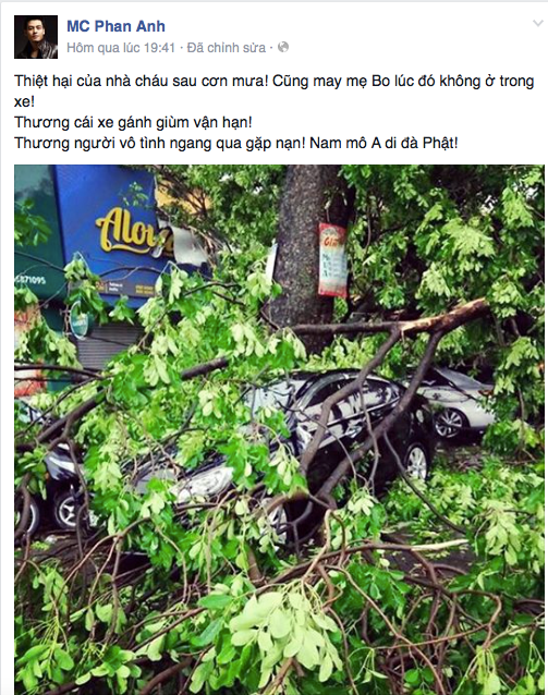 Ôtô của MC Phan Anh bị cây đè sau cơn dông
