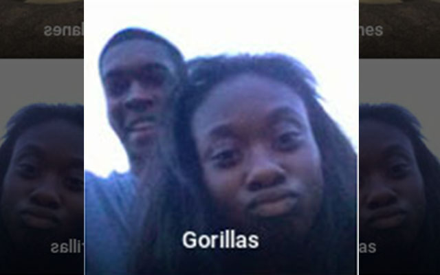 Google xin lỗi vì ứng dụng Photo nhận diện người da đen là... khỉ đột