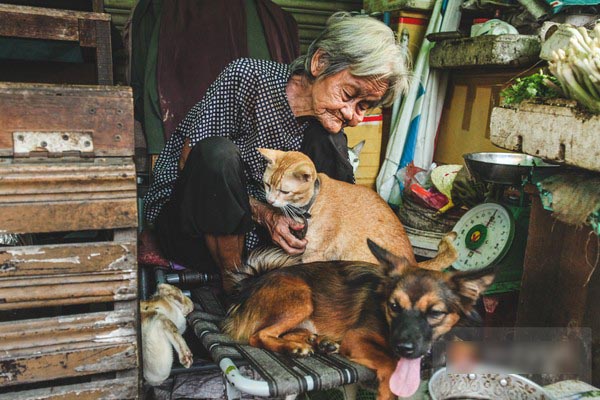 Những chú chó mèo bị bỏ rơi và hàng rau của bà cụ không gia đình ở Sài Gòn