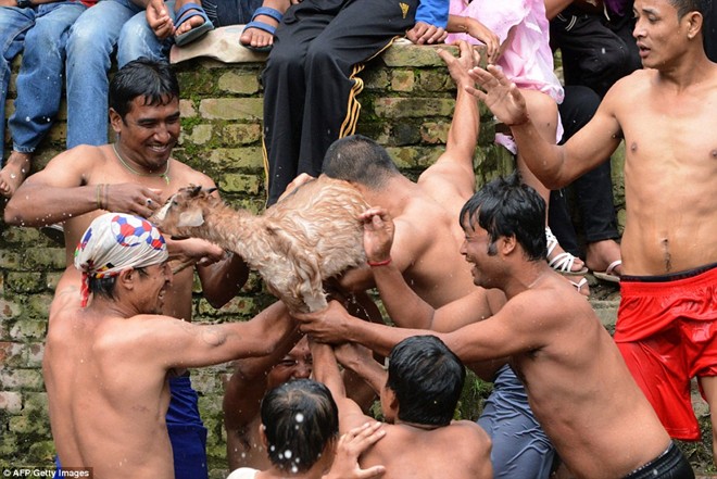Lễ hội giết dê gây phẫn nộ ở Nepal