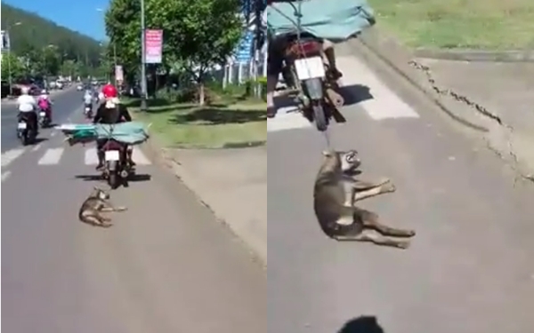 Xôn xao clip chú chó bị buộc dây vào cổ rồi kéo lê giữa đường