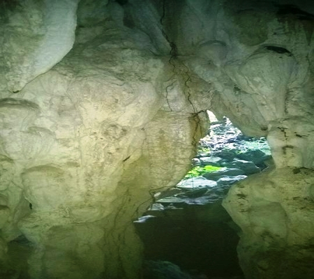 Quảng Bình: Phát hiện hang động “mới” ở VQG Phong Nha - Kẻ Bàng
