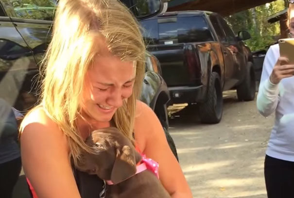 Cô gái bật khóc khi bạn trai cầu hôn bằng chú chó con