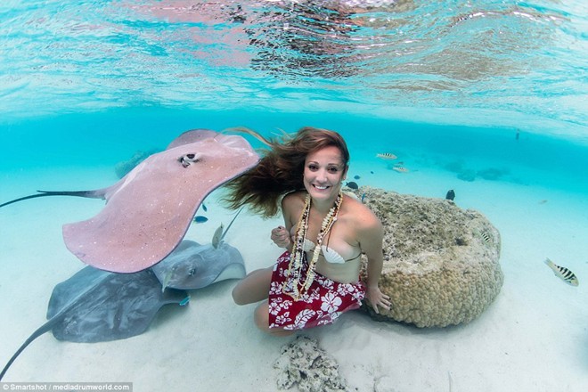 Cô gái bất chấp nguy hiểm chụp ảnh cùng cá độc
