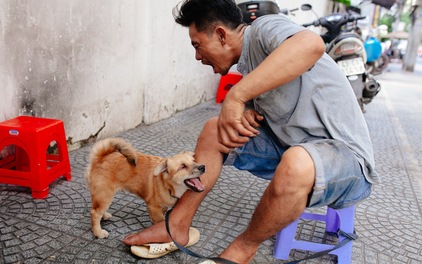 Cuộc sống hiện tại của anh đánh giày câm và chú chó mù: Hạnh phúc vẫn còn được viết tiếp