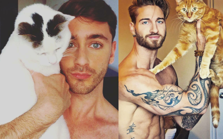 Trai đẹp và Mèo - Sự kết hợp đang làm náo loạn Instagram!