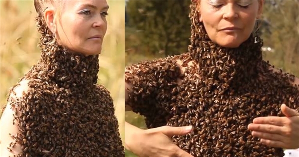 Kinh hãi cô gái để 10.000 con ong phủ kín ngực trần thay cho áo