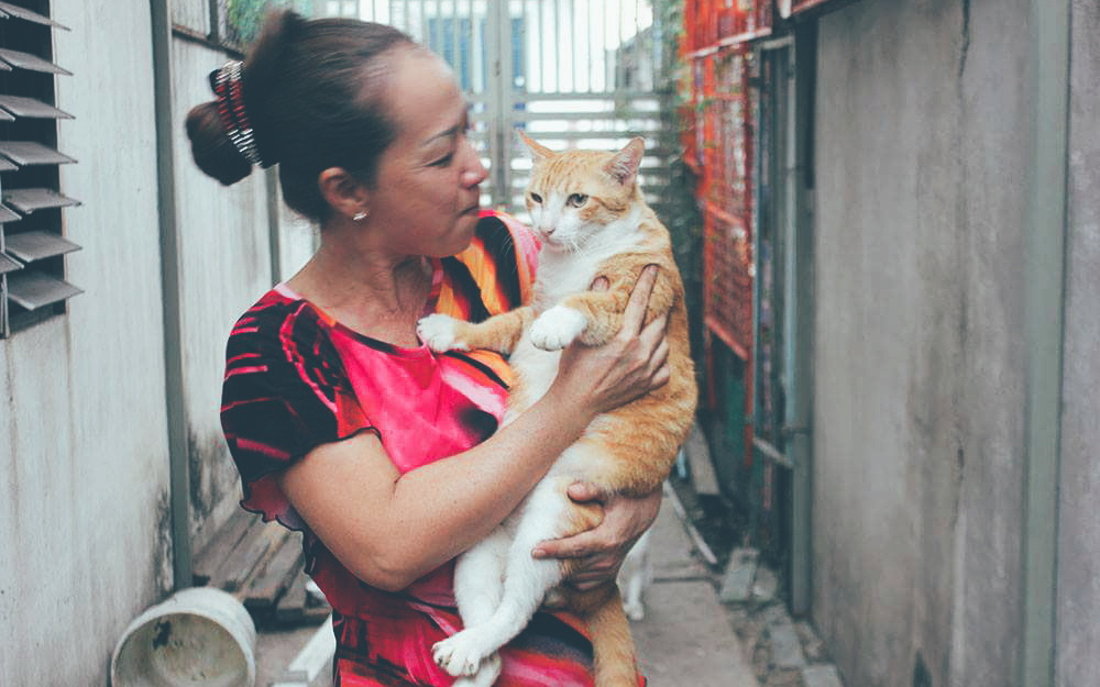 Người phụ nữ cưu mang hơn 50 con mèo bị bỏ rơi ở Sài Gòn