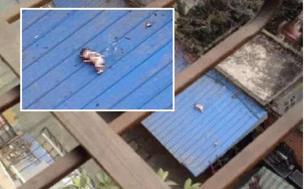 Người dân phẫn nộ phát hiện một bé sơ sinh bị bỏ rơi, chết trên mái nhà