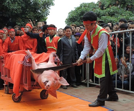 Sẽ không chém lợn giữa sân đình ở lễ hội làng Ném Thượng