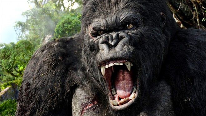 "Kong: Skull Island" kết thúc việc quay phim tại Việt Nam