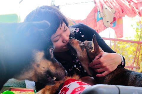Cô gái Sài Gòn nuôi 50 con chó, mèo khuyết tật