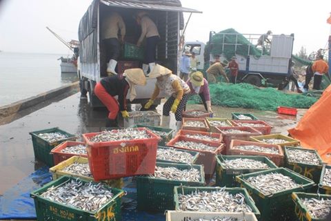 Vụ cá chết: Formosa nhập hóa chất cực độc súc xả đường ống