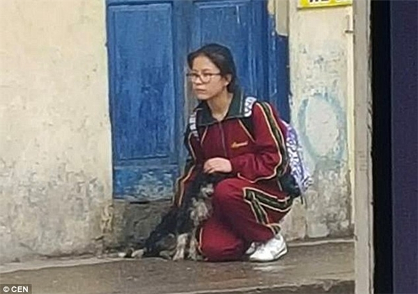 Hình ảnh cô gái dừng lại che mưa cho chú chó khiến nhiều người cảm động