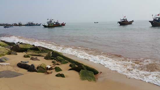 Xuất hiện nước biển màu đỏ ở Quảng Bình