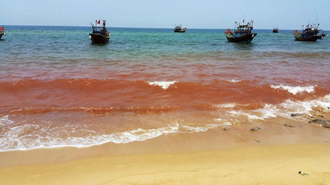 Vệt nước màu đỏ dài 1,5 km ở biển Quảng Bình đã biến mất
