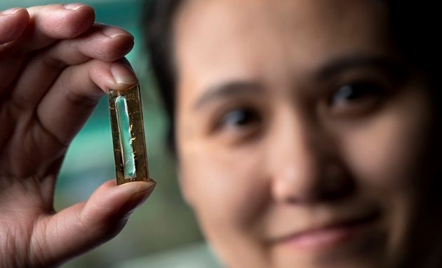 Cô gái gốc Việt phát minh công nghệ pin bền trọn đời