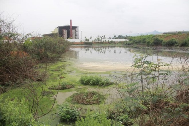Nhà máy xả thải bẩn ra sông Bưởi bị phạt 480 triệu đồng