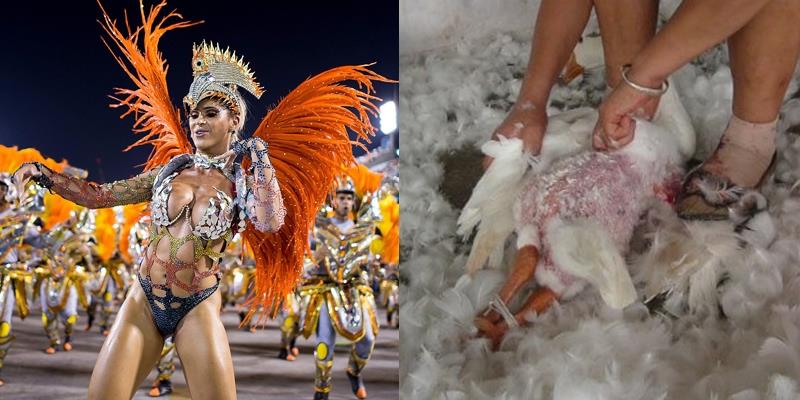 Sự thật tàn khốc đằng sau lễ hội hóa trang hoa lệ tại Brazil