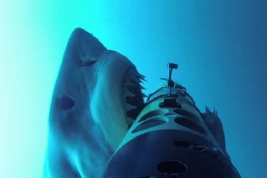 Cá mập có thực sự cắn cáp quang biển?