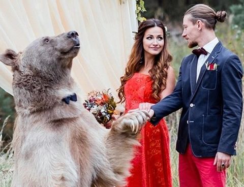 10 đám cưới "độc nhất vô nhị" trên thế giới năm 2016