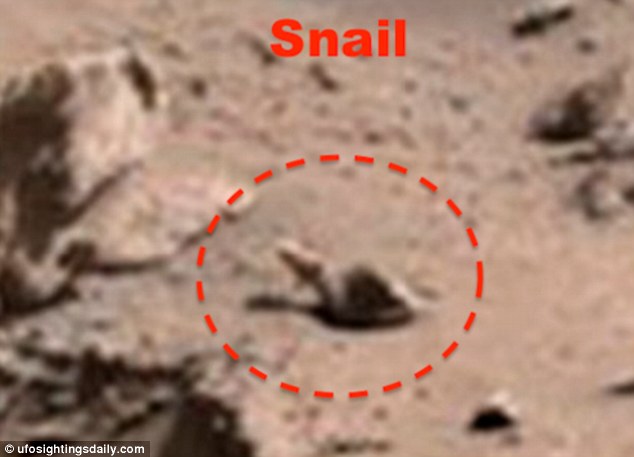 Phát hiện khỉ nhện trên sao Hỏa?
