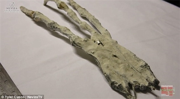 Tìm thấy bàn tay 3 ngón bị nghi thuộc về người ngoài hành tinh