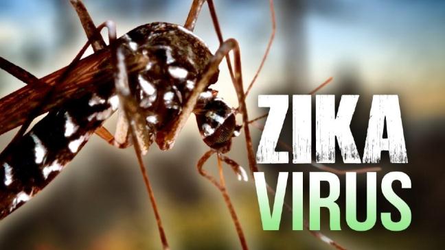 Việt Nam có 212 ca nhiễm virus Zika, đã có trẻ bị di chứng đầu nhỏ