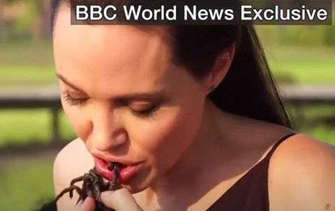 Angelina Jolie và các con ăn nhện, bọ cạp ở Campuchia