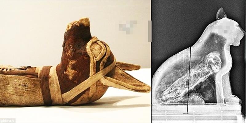 Phát hiện xương người trong xác ướp chó sói thời kì cổ đại