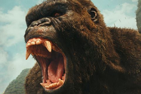 Kong đã gầm vang tại phòng vé, nhưng chưa đủ lớn