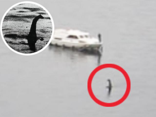 “Quái vật hồ Loch Ness” tái xuất, ngóc đầu gần thuyền chở khách