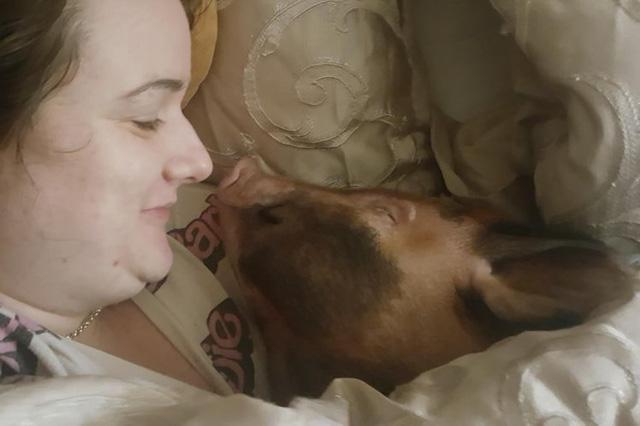 Bịt mũi trước cặp vợ chồng thích ngủ chung với... lợn