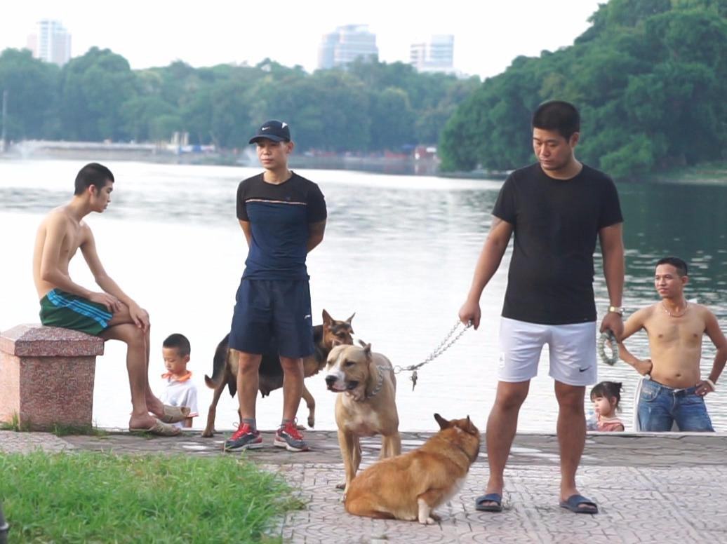 Chó không rọ mõm, thả rông khắp công viên, đường phố Hà Nội