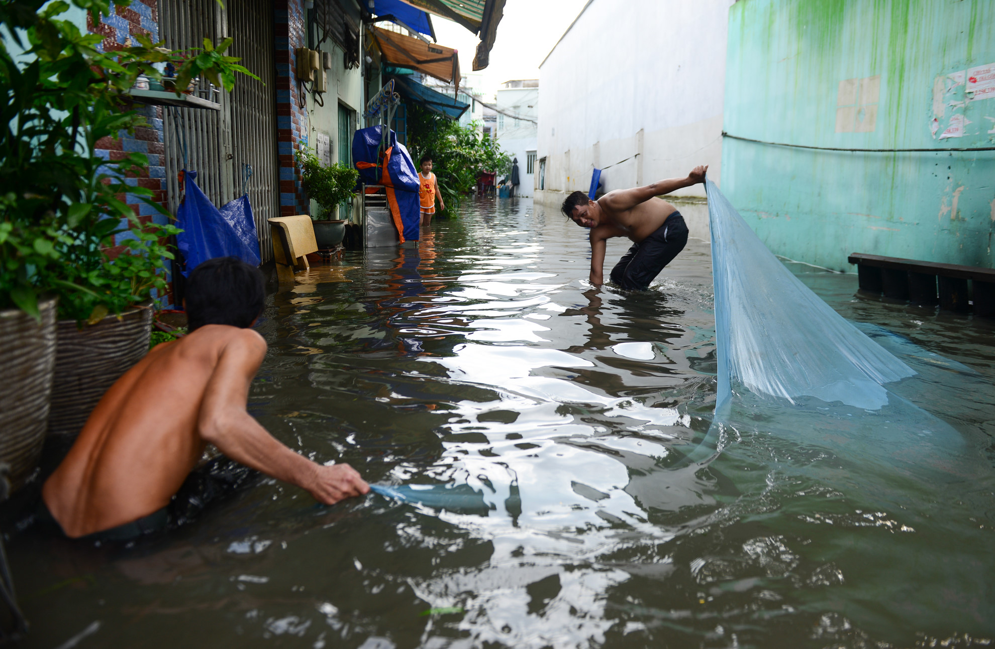 Người Sài Gòn ra đường bắt cá sau trận mưa lớn suốt đêm