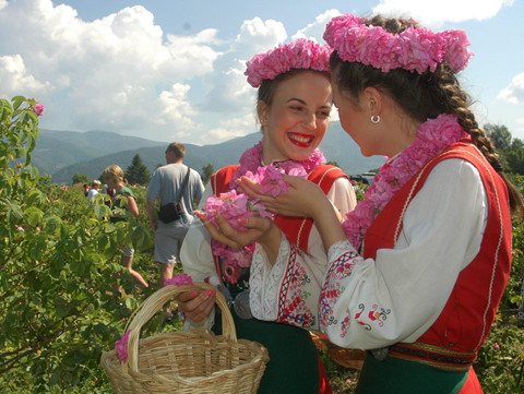 Thung lũng hoa hồng thơ mộng giữa núi đồi Bulgaria