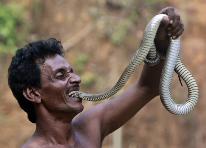 Bí ẩn bộ tộc người rắn ở Ấn Độ