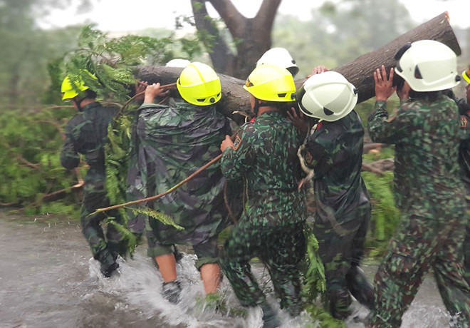 Cây đổ la liệt trong bão số 9 ở Sài Gòn, Vũng Tàu