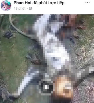 5 người đàn ông giết khỉ rồi livestream trên Facebook