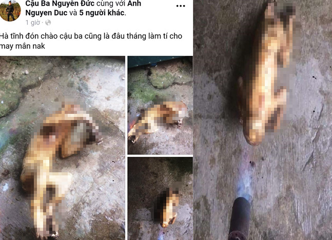 Truy tìm nam thanh niên đăng ảnh giết khỉ lên Facebook