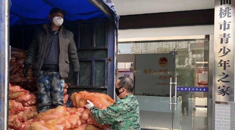 Nam ca sĩ tự lái xe chở 15 tấn rau tới Vũ Hán